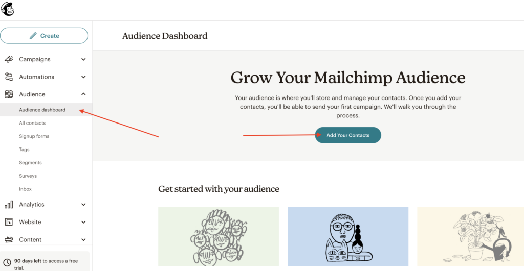audience mailchimp Email marketing