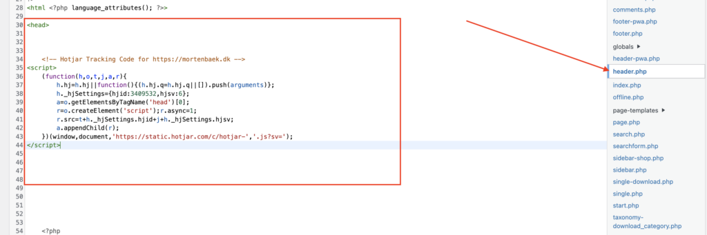 hotjar script wordpress