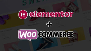 Woocommerce elementor webshop