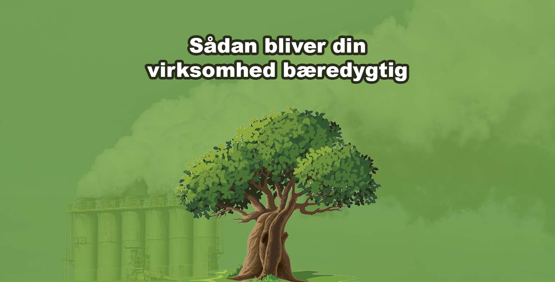 bæredygtighed i markedsføring